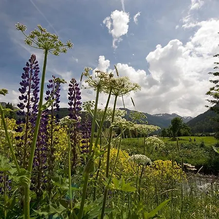 Cresta Davos